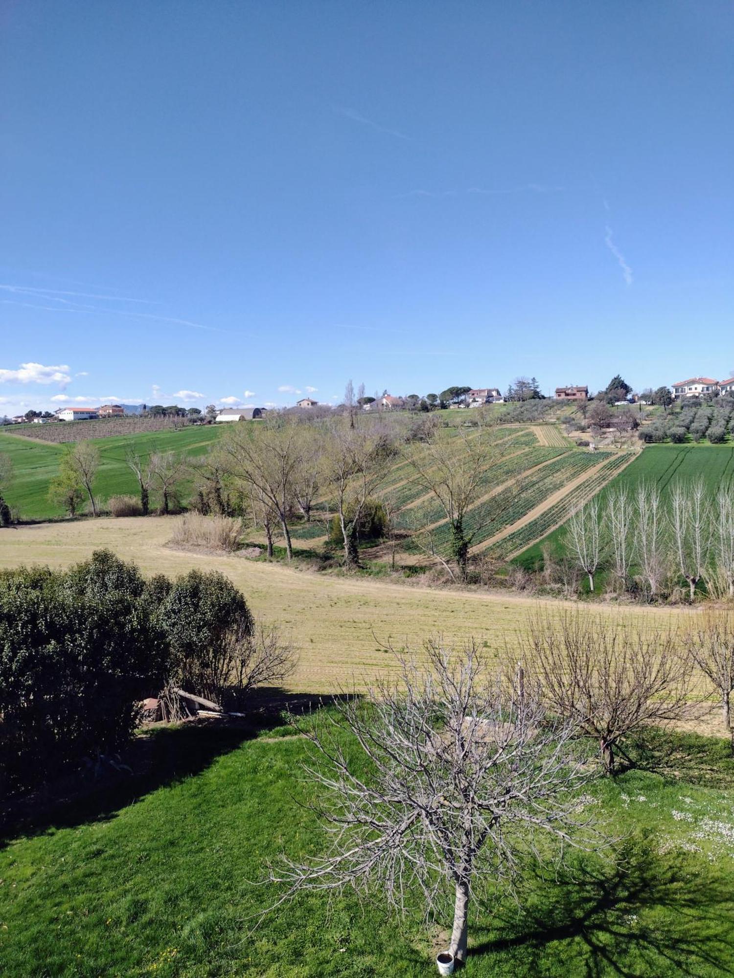 Farm stay Country & La Quercia Coriano
