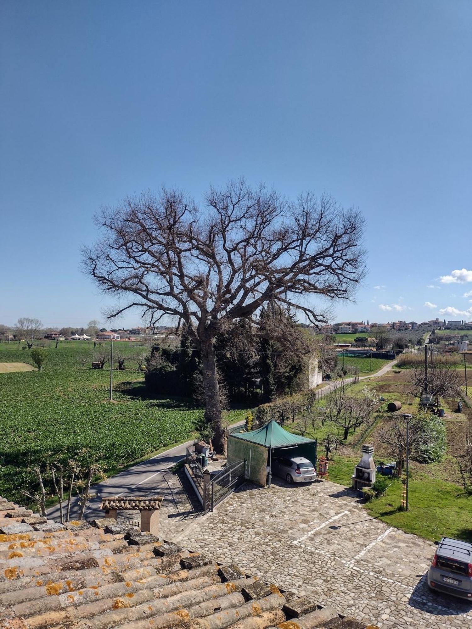 Country & La Quercia Coriano