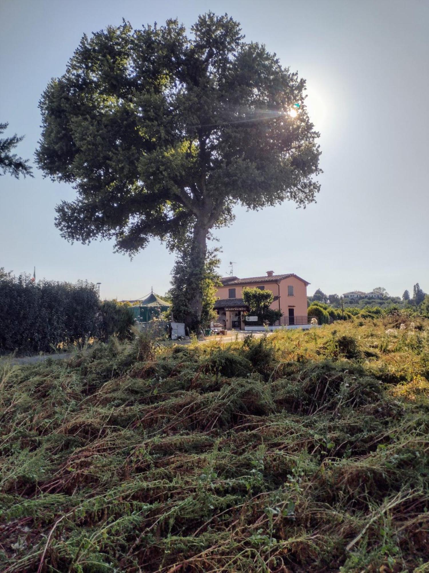 Country & La Quercia * Coriano