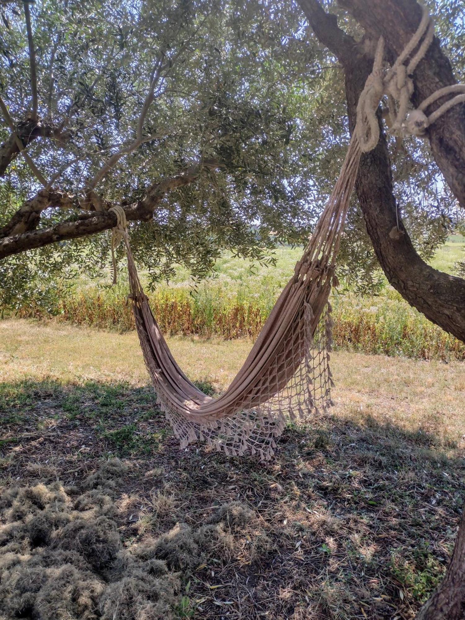 Country & La Quercia Farm stay