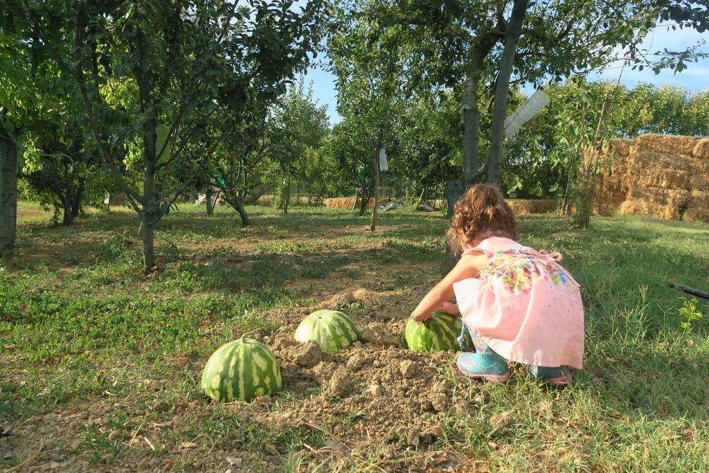 Country & La Quercia *