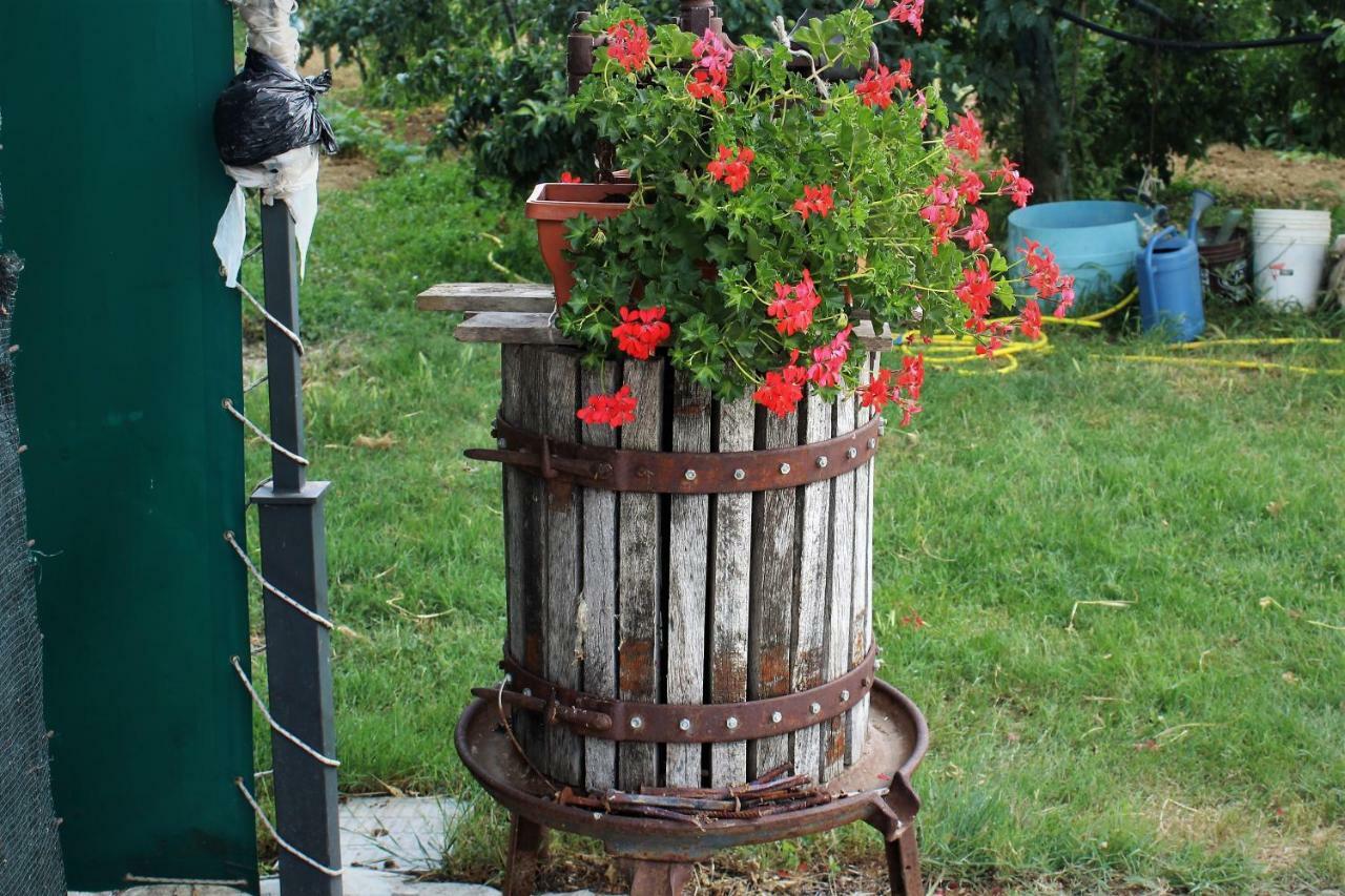 Country & La Quercia Farm stay *